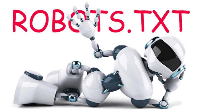 Что такое robots.txt и зачем он нужен в Владивостоке